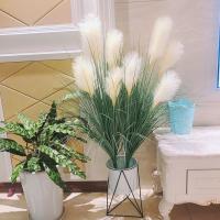 uploads/erp/collection/images/Home Garden/CongDing/XU0611286/img_b/XU0611286_img_b_1